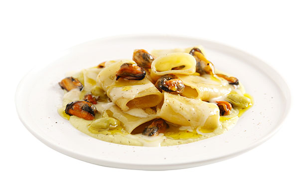 Paccheri with broad beans cream, mussels, pecorino cream, and Ogliarola Monocultivar Extra Virgin Olive Oil 1