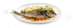 “I Dedicati” Gourmet Special for Fish 2